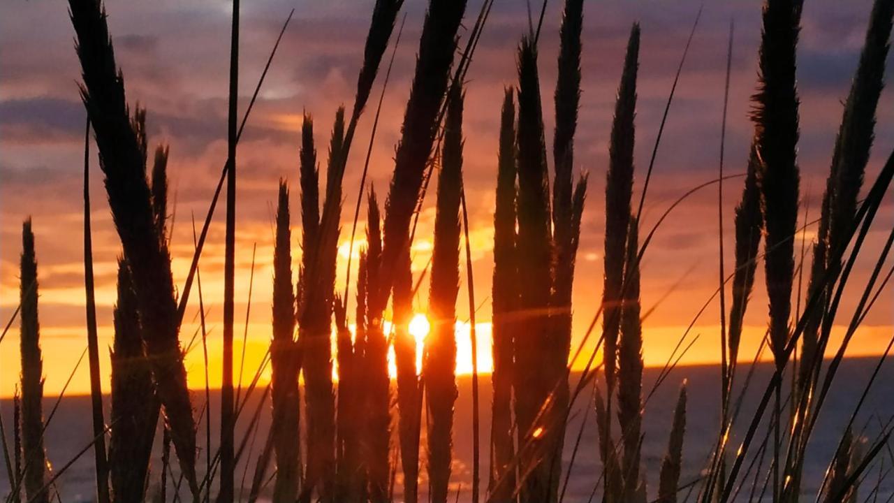 Penthousebeach Koksijde Buitenkant foto