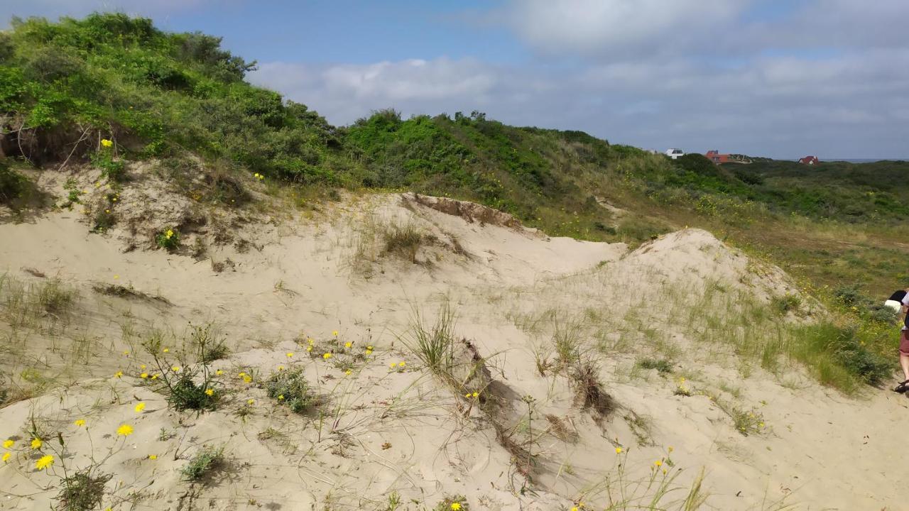 Penthousebeach Koksijde Buitenkant foto
