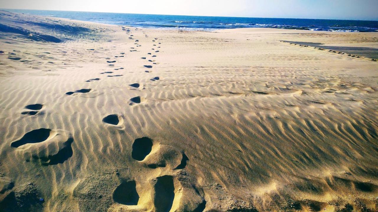 Penthousebeach Koksijde Buitenkant foto